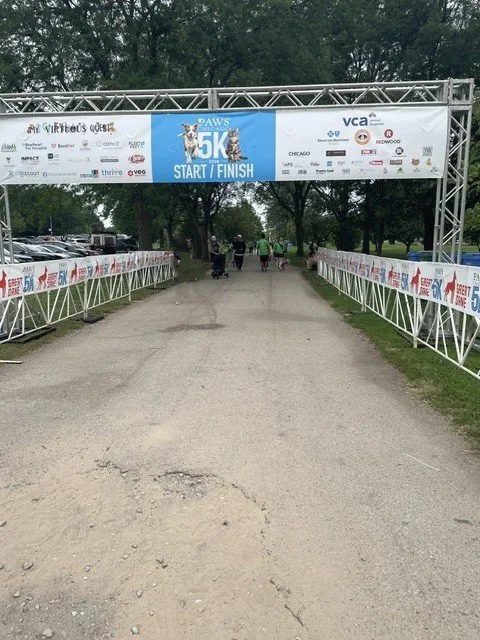 The PAWS Chicago 5K start and finish arch on the lakefront course